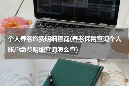 个人养老缴费明细查询(养老保险查询个人账户缴费明细查询怎么查)