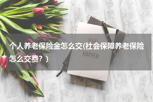 个人养老保险金怎么交(社会保障养老保险怎么交费？)