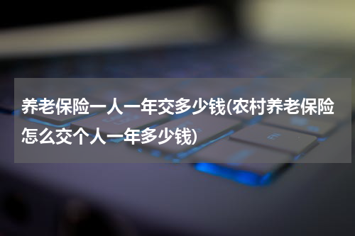 养老保险一人一年交多少钱(农村养老保险怎么交个人一年多少钱)