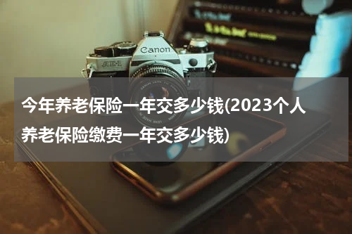 今年养老保险一年交多少钱(2023个人养老保险缴费一年交多少钱)
