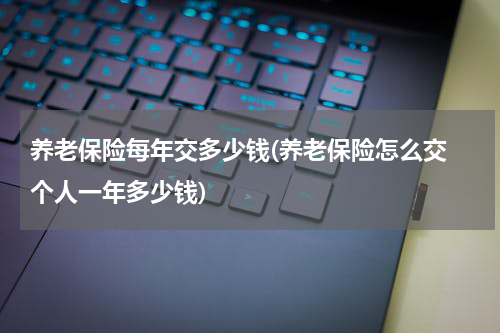 养老保险每年交多少钱(养老保险怎么交 个人一年多少钱)