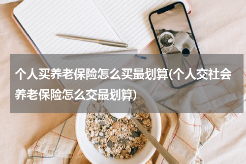 个人买养老保险怎么买最划算(个人交社会养老保险怎么交最划算)