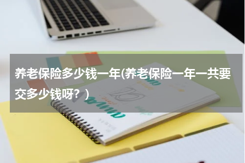 养老保险多少钱一年(养老保险一年一共要交多少钱呀？)