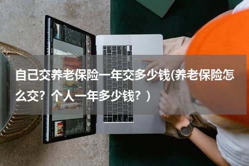 自己交养老保险一年交多少钱(养老保险怎么交？个人一年多少钱？)
