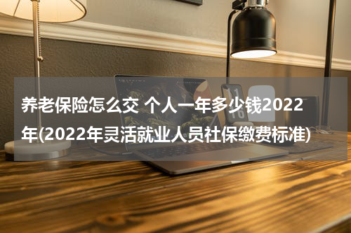 养老保险怎么交 个人一年多少钱2022年(2022年灵活就业人员社保缴费标准)
