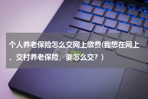 个人养老保险怎么交网上缴费(我想在网上，交村养老保险，要怎么交？)