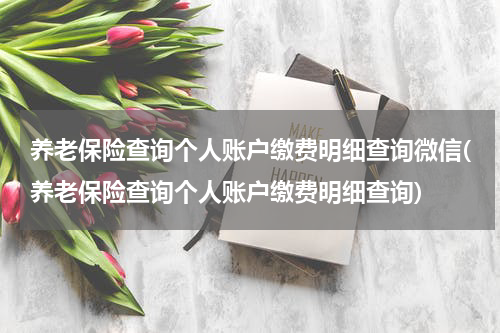 养老保险查询个人账户缴费明细查询微信(养老保险查询个人账户缴费明细查询)