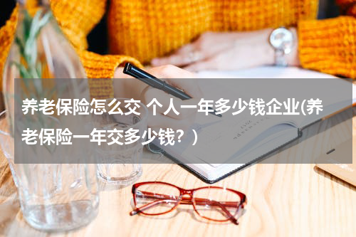 养老保险怎么交 个人一年多少钱企业(养老保险一年交多少钱?)