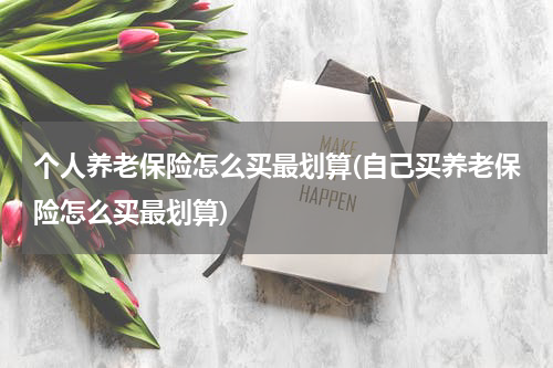 个人养老保险怎么买最划算(自己买养老保险怎么买最划算)