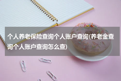 个人养老保险查询个人账户查询(养老金查询个人账户查询怎么查)