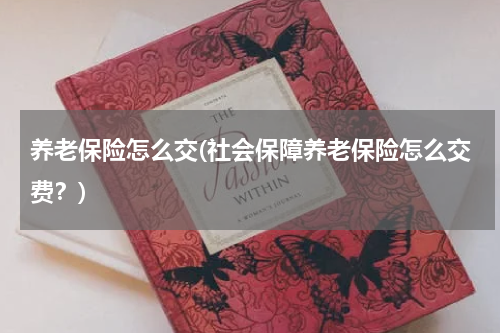 养老保险怎么交(社会保障养老保险怎么交费？)