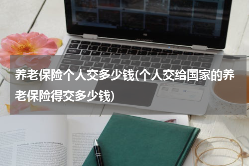 养老保险个人交多少钱(个人交给国家的养老保险得交多少钱)