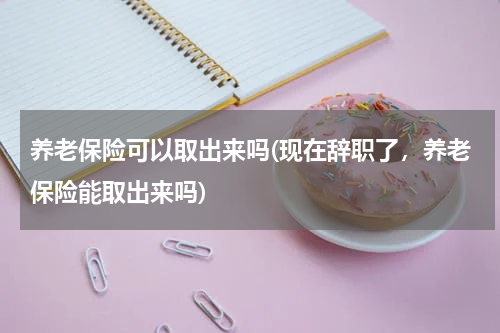 养老保险可以取出来吗(现在辞职了，养老保险能取出来吗)