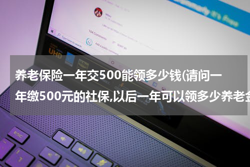 养老保险一年交500能领多少钱(请问一年缴500元的社保,以后一年可以领多少养老金?)