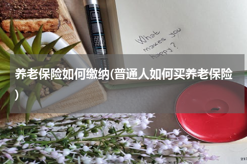 养老保险如何缴纳(普通人如何买养老保险)