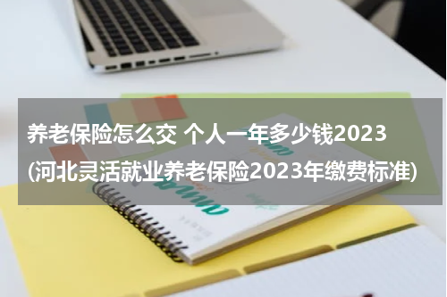 养老保险怎么交 个人一年多少钱2023(河北灵活就业养老保险2023年缴费标准)