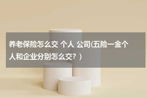 养老保险怎么交 个人 公司(五险一金个人和企业分别怎么交？)