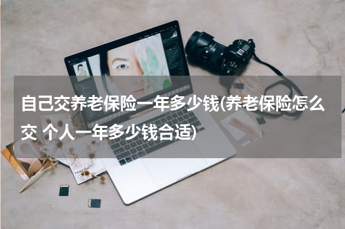 自己交养老保险一年多少钱(养老保险怎么交 个人一年多少钱合适)
