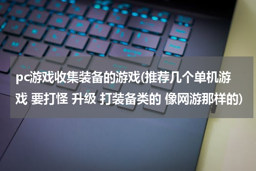 pc游戏收集装备的游戏(推荐几个单机游戏 要打怪 升级 打装备类的 像网游那样的)