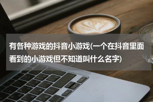 有各种游戏的抖音小游戏(一个在抖音里面看到的小游戏但不知道叫什么名字)